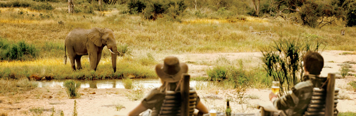 Motswari Safari Lodge