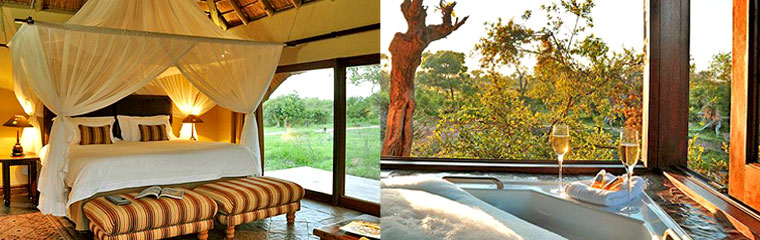 Kambaku River Sands Timbavati Game Reserve Thatched Suites Kruger National Park South Africa